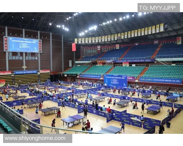 杭州乒乓球队运营革新探索新模式助力体育发展与团队成长